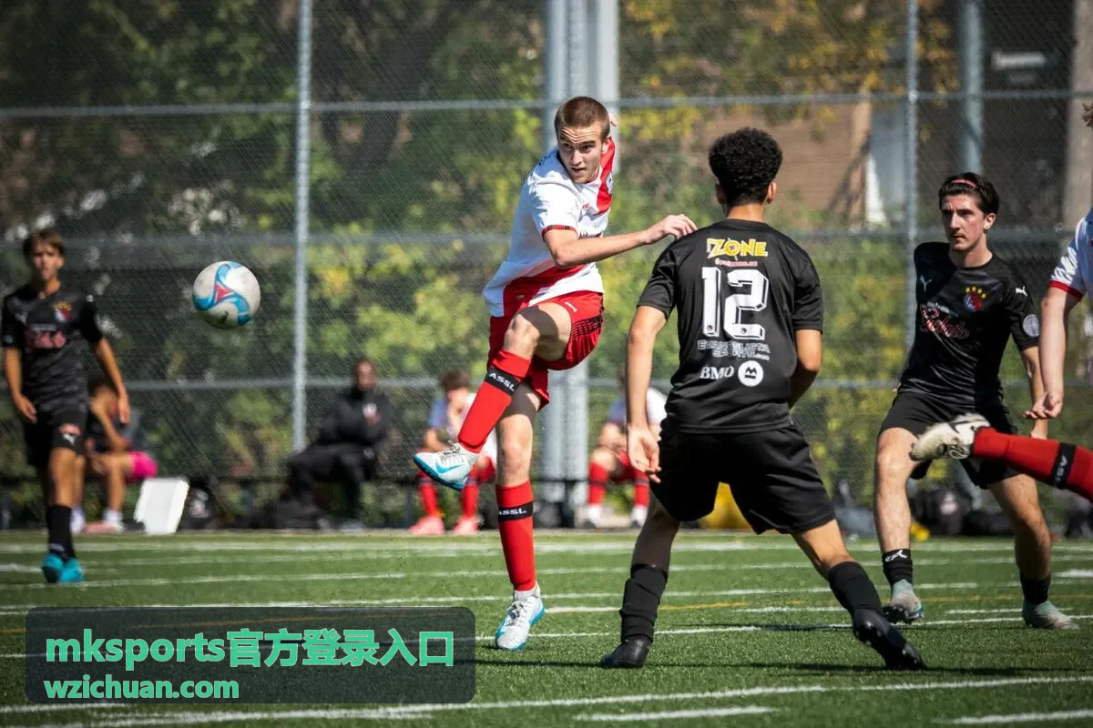 mksports官方登录入口客户端下载安装