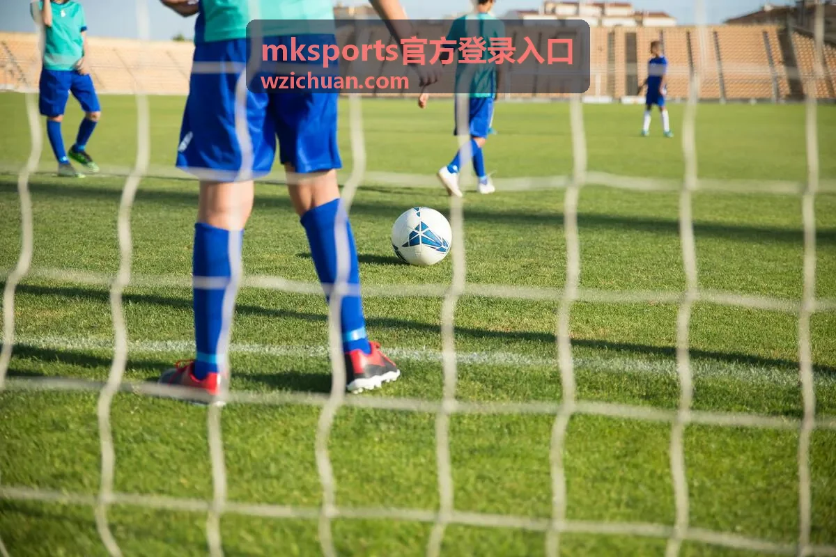 mksports官方登录入口 问题反馈与核对流程