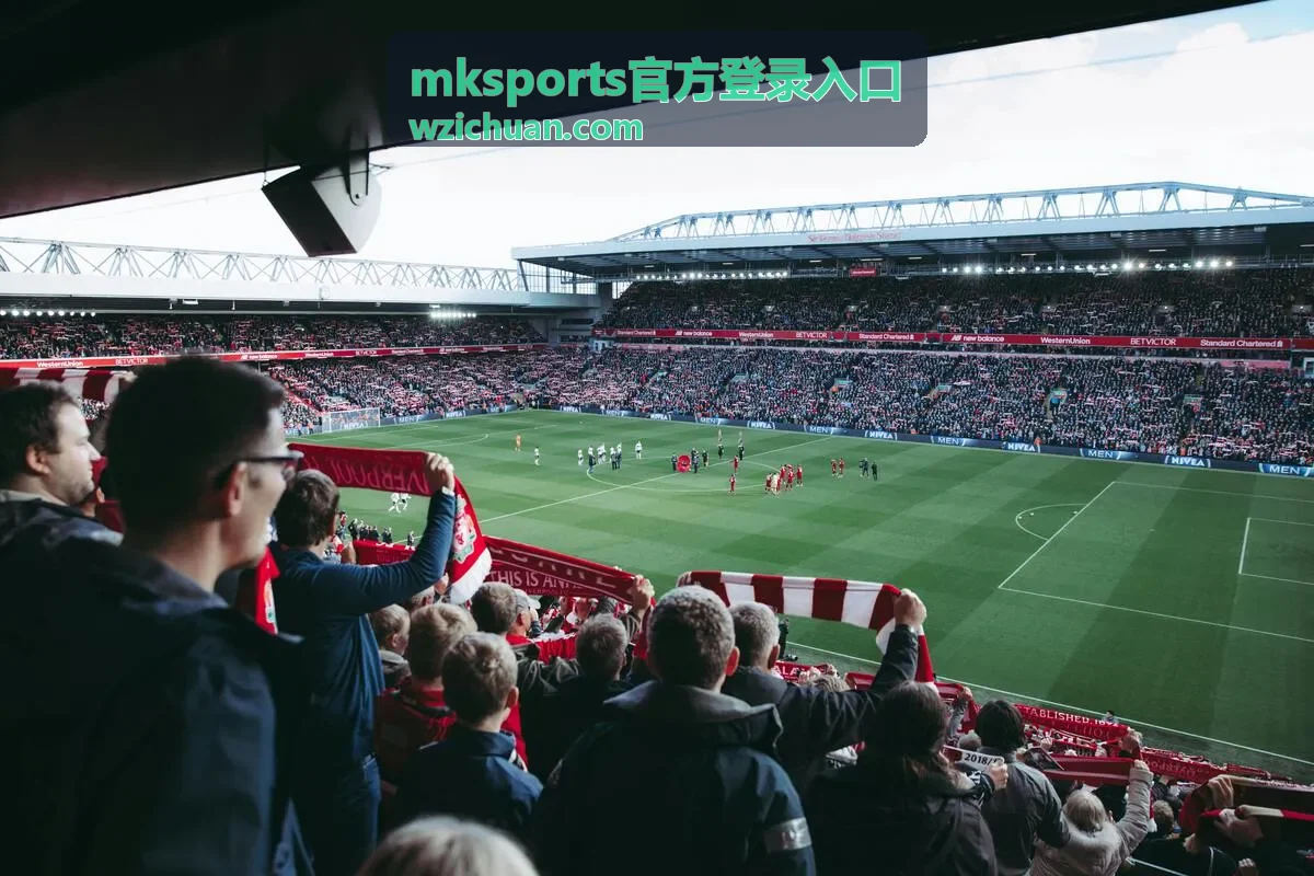 mksports官方登录入口数据统计界面示意