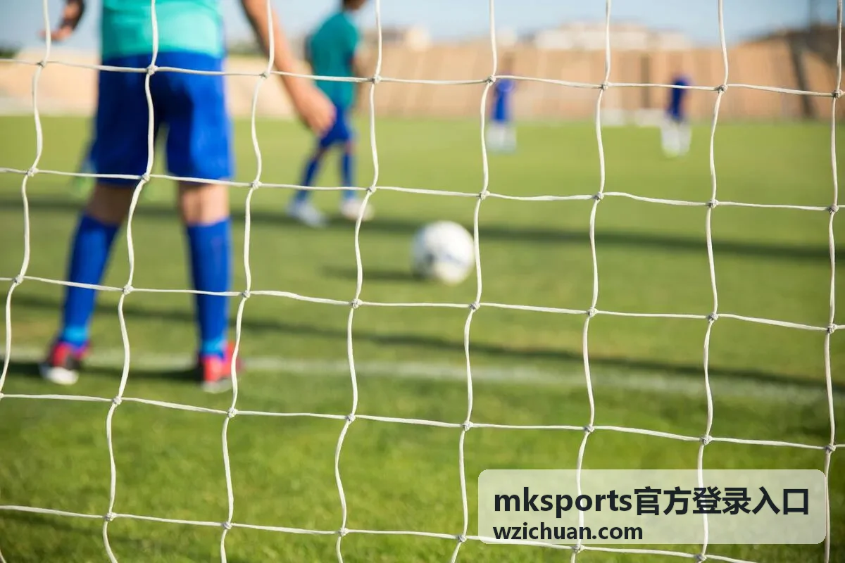 mksports官方登录入口设备与版本要求